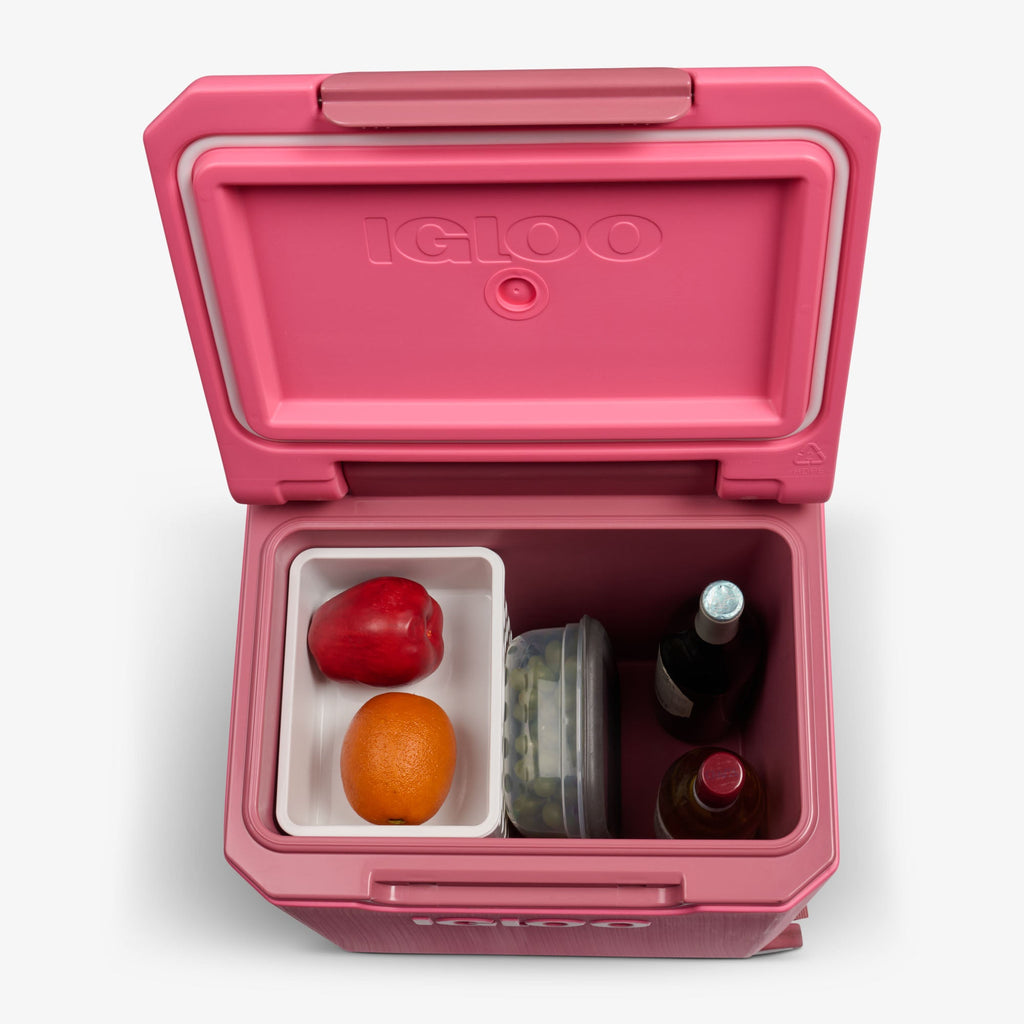 Tag Along Too Spinner Cooler Q4 - Thrift Pink - Product View